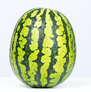 Best Watermelon in the World